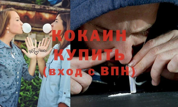 сатива Богородск